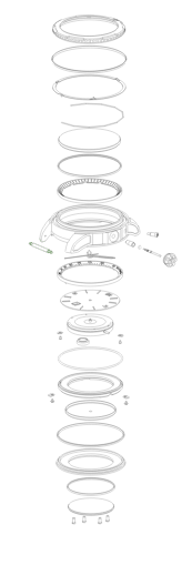 Seiko Federsteg 20mm für diverse Modelle C200FS
