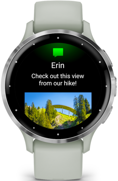 Garmin VENU® 3S Salbeigrau/Silber 41mm 010-02785-01