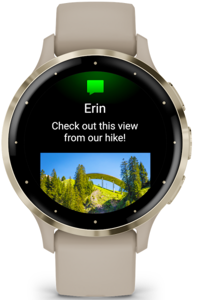 Garmin VENU® 3S French Gray/Softgold 41mm 010-02785-02