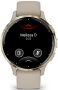 Garmin VENU® 3S French Gray/Softgold 41mm 010-02785-02