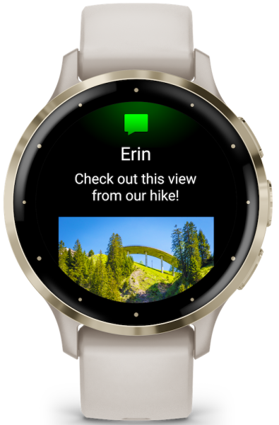 Garmin VENU® 3S Elfenbein/Softgold 41mm 010-02785-04