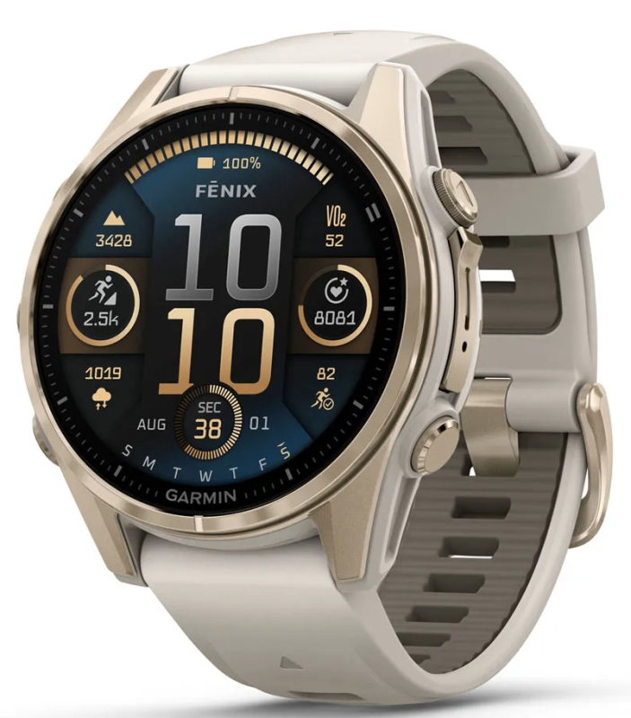 Garmin Fenix 8 AMOLED Sapphire Nebelgrau/Softgold 43mm 010-02903-11