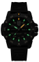 Luminox Master Carbon SEAL Automatik XS.3865.GOLD
