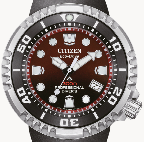 Citizen Professional Divers 300m BN1024-01Z