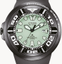 Citizen Eco-Drive Promaster Professional Diver 300 BJ8055-04X