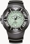 Citizen Eco-Drive Promaster Professional Diver 300 BJ8055-04X