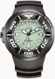 Citizen Eco-Drive Promaster Professional Diver 300 BJ8055-04X