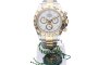 Rolex Cosmograph Daytona 126503