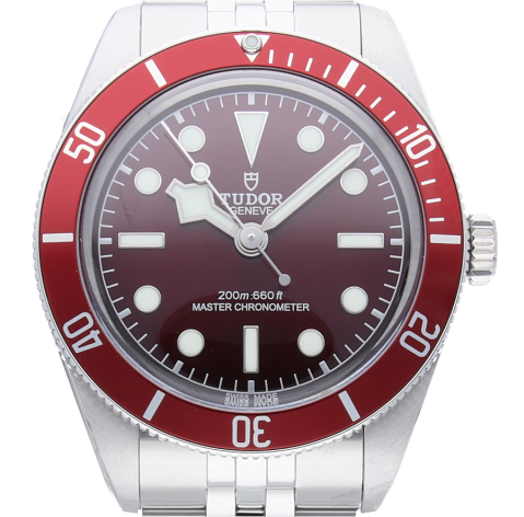 Tudor Black Bay 58 7939A1A0RU LC100