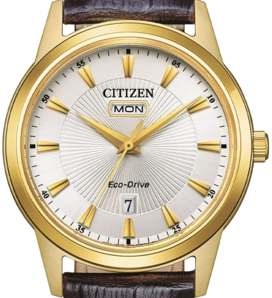 Citizen Eco-Drive DayDate AW0102-13AC