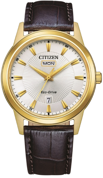 Citizen Eco-Drive DayDate AW0102-13AC