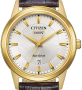Citizen Eco-Drive DayDate AW0102-13AC