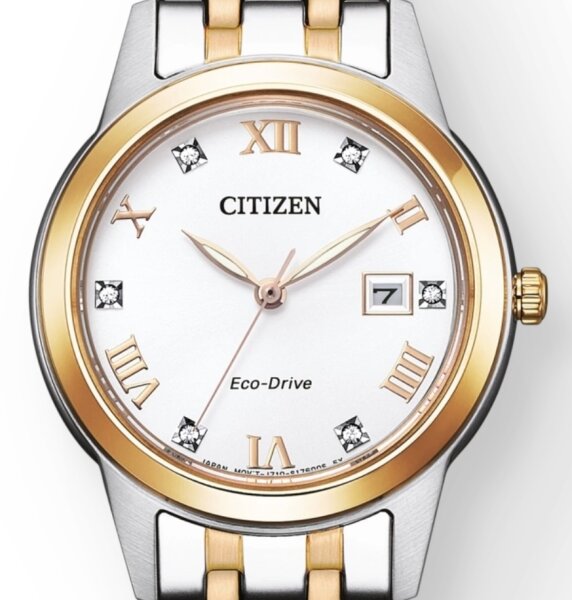 Citizen Eco-Drive Damenuhr FE1246-85A