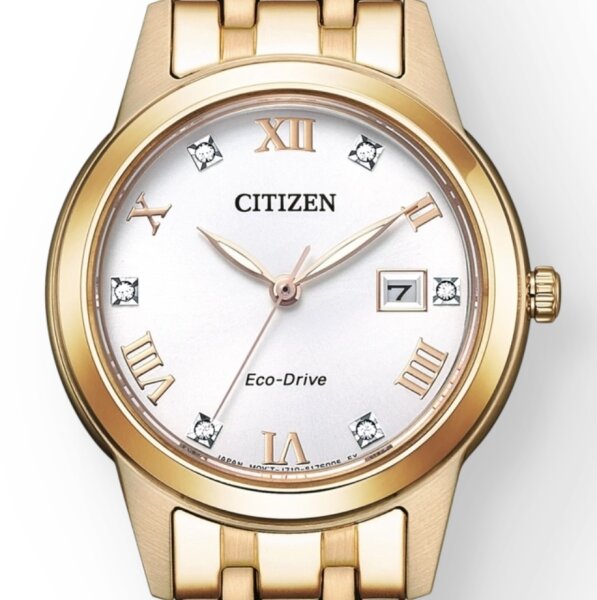 Citizen Eco-Drive Damenuhr FE1243-83A