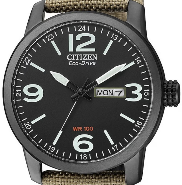 Citizen Eco-Drive WR100 Herrenuhr Ausstellungsstück...