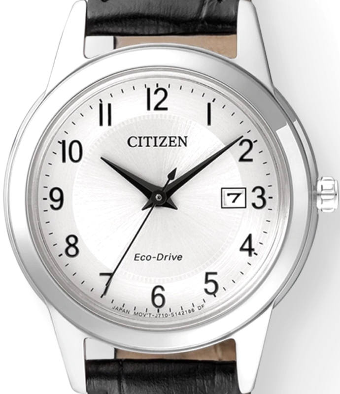Citizen Eco-Drive Damenuhr FE1081-08A