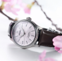 Seiko Presage Automatik 38mm HCC003J1