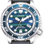 Citizen Promaster Eco-Drive Blue Ocean 44mm BN0167-09W