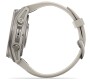 Garmin Fenix 9 Pro Nebelgrau/Titan mit Silikon-Armband 43 mm 010-04761-01