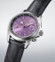 Seiko Prospex Alpinist 145th Anniversary Limited Edition HBC006J1