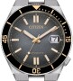 Citizen TSUYOSA-Küste Limited Edition NJ0238-57E