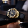 Citizen Serie 8 GMT Damaskus Limited Edition NB6092-01E